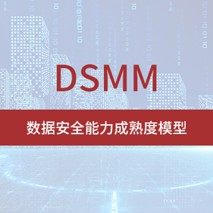 DSMM數據安全能力成熟度模型