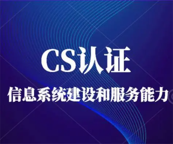 CS信息系統建設和服務能力評估體系